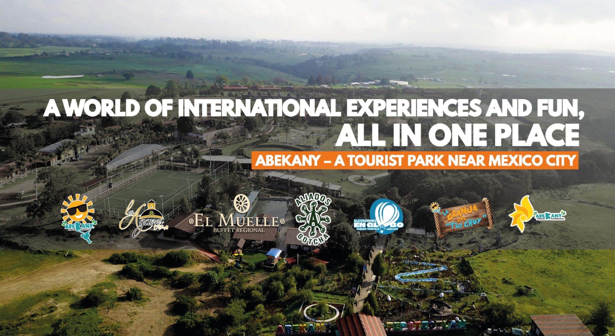 WhatsApp Image 2026-02-06 at 12.16.57 (2)